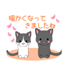 ちびにゃんこ16【春】（個別スタンプ：17）