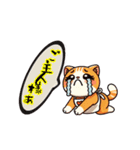 お助け猫にゃすけの会話スタンプ①（個別スタンプ：38）