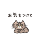 猫のなや（個別スタンプ：10）