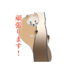 敬語を使うエゾクロテン（個別スタンプ：3）
