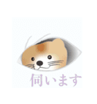 敬語を使うエゾクロテン（個別スタンプ：5）