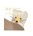 敬語を使うエゾクロテン（個別スタンプ：9）