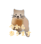 敬語を使うエゾクロテン（個別スタンプ：12）