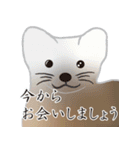 敬語を使うエゾクロテン（個別スタンプ：15）