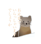 敬語を使うエゾクロテン（個別スタンプ：16）
