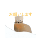 敬語を使うエゾクロテン（個別スタンプ：17）