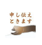 敬語を使うエゾクロテン（個別スタンプ：20）
