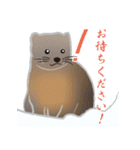 敬語を使うエゾクロテン（個別スタンプ：25）