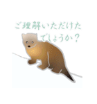 敬語を使うエゾクロテン（個別スタンプ：28）