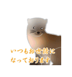 敬語を使うエゾクロテン（個別スタンプ：29）