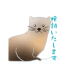 敬語を使うエゾクロテン（個別スタンプ：30）