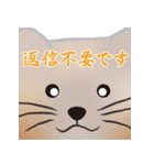 敬語を使うエゾクロテン（個別スタンプ：31）