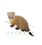 敬語を使うエゾクロテン（個別スタンプ：33）