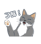 ねこちゃんぷるー 2皿目（個別スタンプ：1）