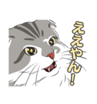 ねこちゃんぷるー 2皿目（個別スタンプ：2）