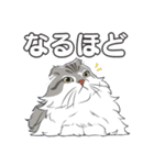 ねこちゃんぷるー 2皿目（個別スタンプ：3）