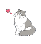 ねこちゃんぷるー 2皿目（個別スタンプ：5）