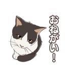 ねこちゃんぷるー 2皿目（個別スタンプ：6）