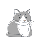ねこちゃんぷるー 2皿目（個別スタンプ：7）