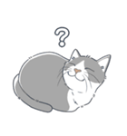 ねこちゃんぷるー 2皿目（個別スタンプ：11）