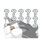 ねこちゃんぷるー 2皿目（個別スタンプ：12）