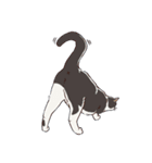 ねこちゃんぷるー 2皿目（個別スタンプ：15）