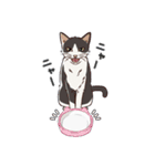 ねこちゃんぷるー 2皿目（個別スタンプ：16）
