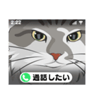 ねこちゃんぷるー 2皿目（個別スタンプ：17）