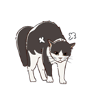 ねこちゃんぷるー 2皿目（個別スタンプ：19）