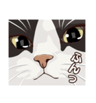 ねこちゃんぷるー 2皿目（個別スタンプ：20）