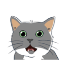 ねこちゃんぷるー 2皿目（個別スタンプ：21）