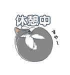 ねこちゃんぷるー 2皿目（個別スタンプ：23）