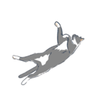 ねこちゃんぷるー 2皿目（個別スタンプ：24）