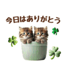癒しにゃんこの春のあいさつ（個別スタンプ：11）