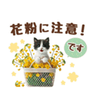癒しにゃんこの春のあいさつ（個別スタンプ：35）