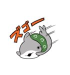 おでかけ子ザメ4（個別スタンプ：31）