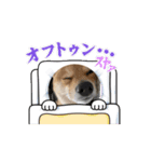 株ゆきち（個別スタンプ：6）