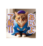 江戸っ子言葉を使う、猫ちゃん（個別スタンプ：1）