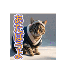 江戸っ子言葉を使う、猫ちゃん（個別スタンプ：2）