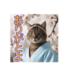 江戸っ子言葉を使う、猫ちゃん（個別スタンプ：3）