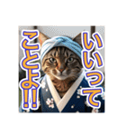 江戸っ子言葉を使う、猫ちゃん（個別スタンプ：4）
