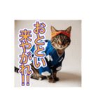 江戸っ子言葉を使う、猫ちゃん（個別スタンプ：5）