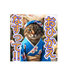 江戸っ子言葉を使う、猫ちゃん（個別スタンプ：6）