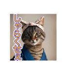 江戸っ子言葉を使う、猫ちゃん（個別スタンプ：11）