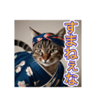 江戸っ子言葉を使う、猫ちゃん（個別スタンプ：12）