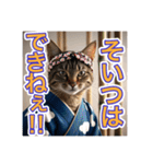 江戸っ子言葉を使う、猫ちゃん（個別スタンプ：13）