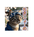 江戸っ子言葉を使う、猫ちゃん（個別スタンプ：14）