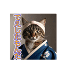 江戸っ子言葉を使う、猫ちゃん（個別スタンプ：15）