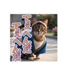 江戸っ子言葉を使う、猫ちゃん（個別スタンプ：16）