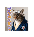 江戸っ子言葉を使う、猫ちゃん（個別スタンプ：18）